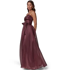 Donna Karan New York Women's Strapless Sweetheart Organza Pleated Gown