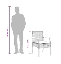 vidaXL Garden Chair Set of 2 Black and brown