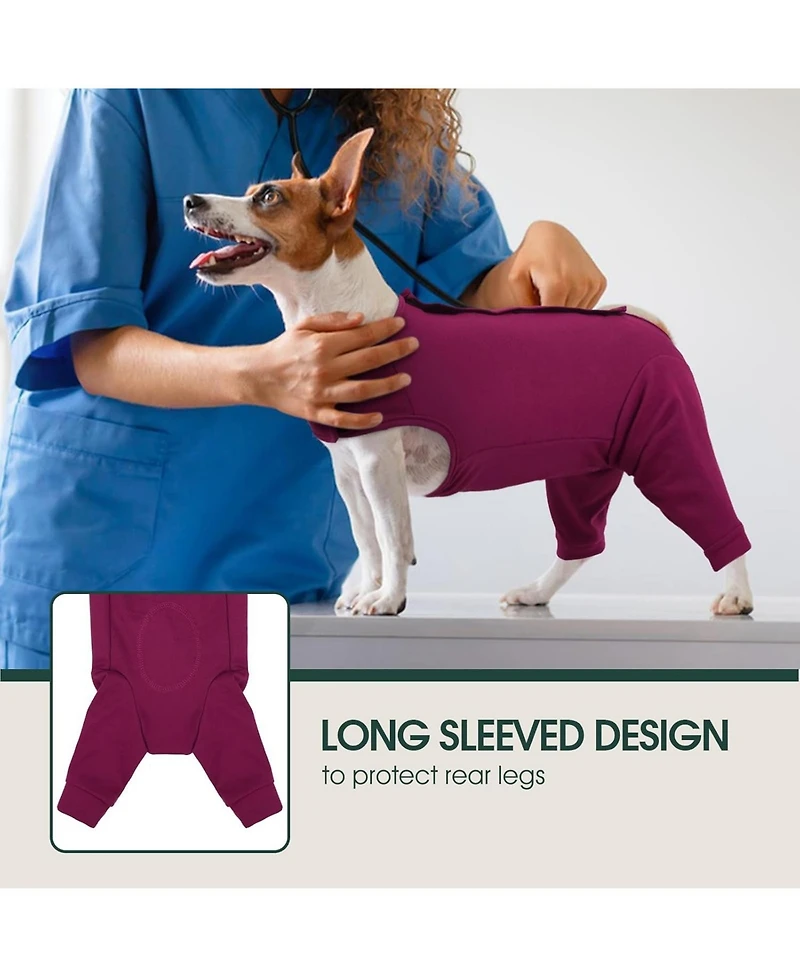 Rear Leg Recovery Onesie Surgical Suit for Dogs, Post-Surgery Wound Protection and Licking Prevention