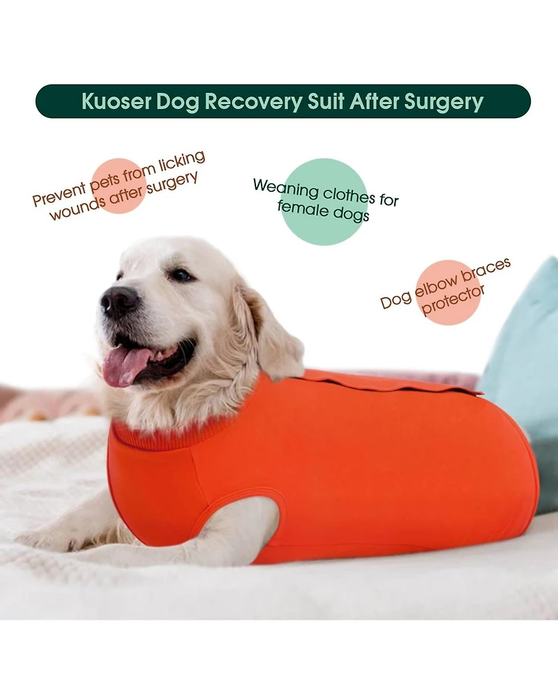 Soft Recovery Suit with Rear Leg Sleeve and Abdominal Cover for Post-Surgical Dog Care