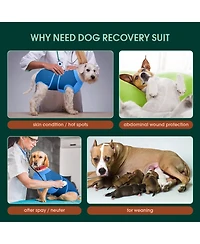 Cotton-Spandex Post-Surgery Recovery Bodysuit Onesie for Dogs