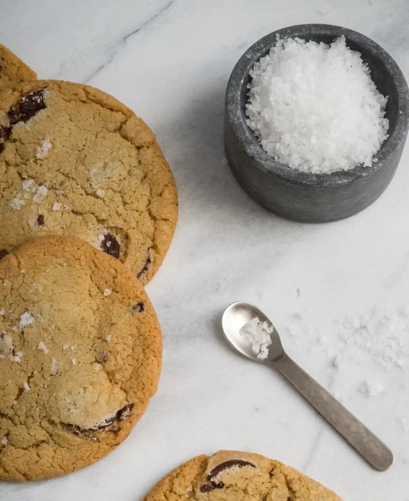 Salt of the Earth Bakery Fresh Baked Chocolate Chip Cookies Gourmet Boxes, 16-Piece