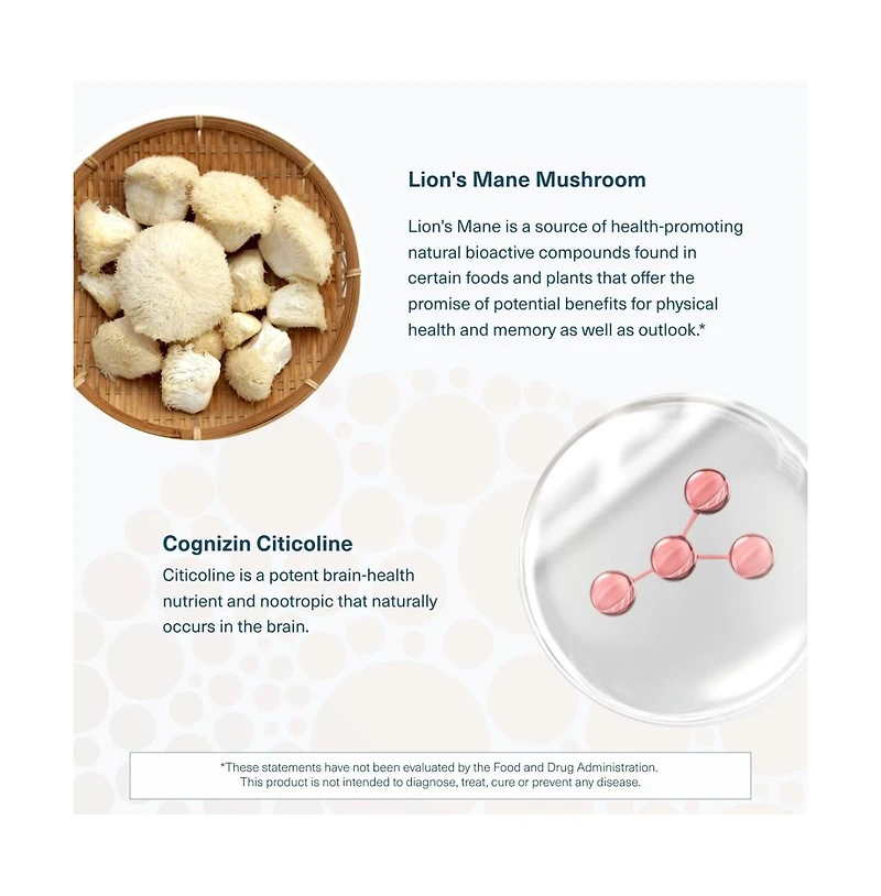 Youtheory Lion's Mane Plus Mushroom Supplement with Cognizin Offers Focus and Brain Support 60 Vegetarian Capsules