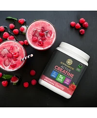 Sunwarrior Active Creatine Powder, Creatine Monohydrate for Muscle Building Support, Raspberry Flavor, 350gm