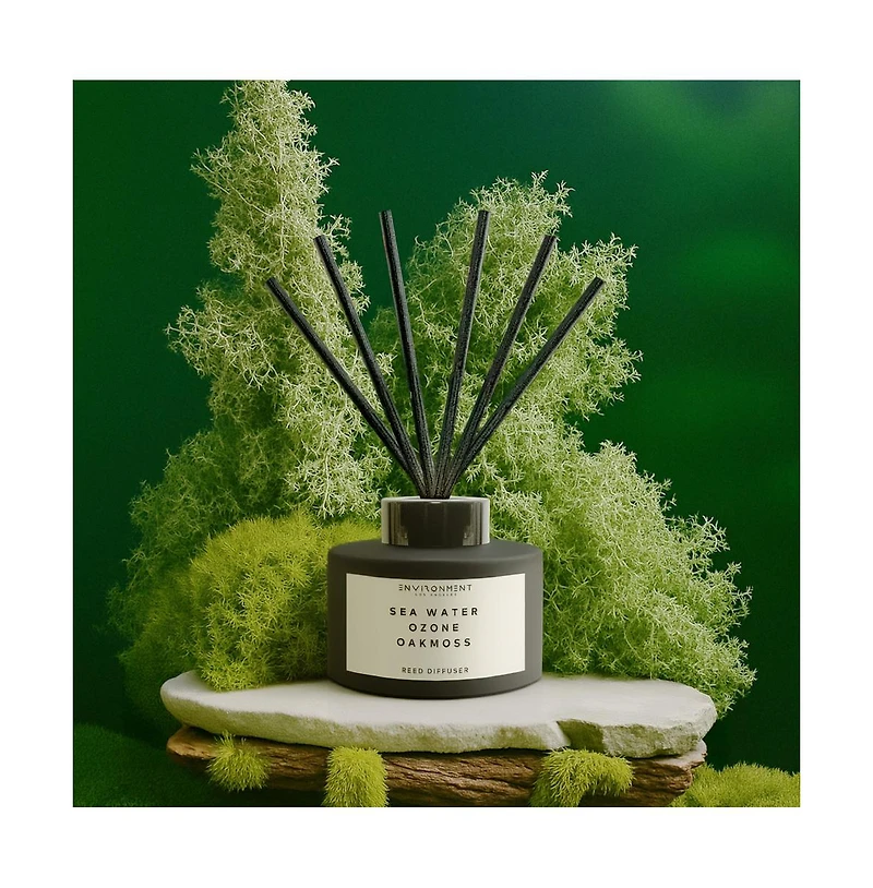 Environment Diffuser Inspired By Davidoff Cool Water Sea Water Ozone Oakmoss