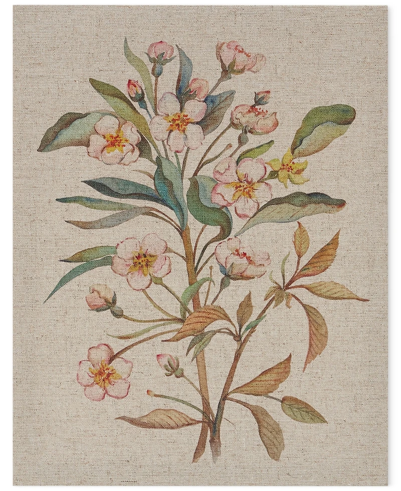 Madison Park Linen Botanicals 3-Pc. Canvas Print Set