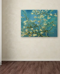 Vincent van Gogh 'Almond Branches In Bloom 1890' Canvas Art