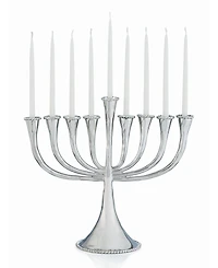 Michael Aram Judaica Molten Menorah