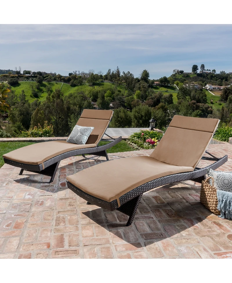 Farron Cushion Adjustable Lounge (Set of 2