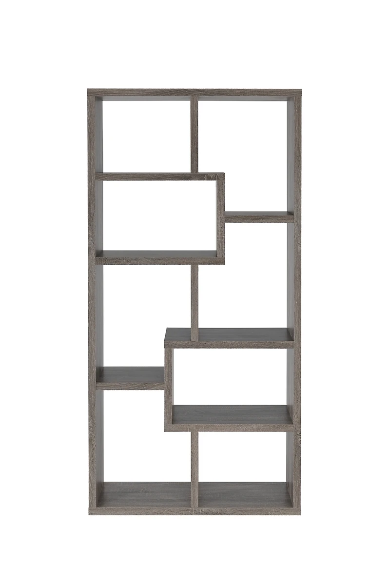 Olinville Contemporary Bookcase