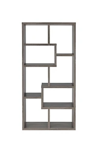 Olinville Contemporary Bookcase