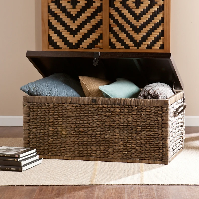 Water Hyacinth Storage Trunk