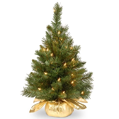 National Tree Company 24" Majestic Fir Tree in Gold Cloth Bag with 35 Clear lights