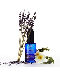 Kiehls Since 1851 Midnight Recovery Concentrate Collection