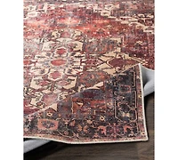 Livabliss Amelie Aml-2308 Rust Machine-Washable 5'3" x 7'3" Area Rug