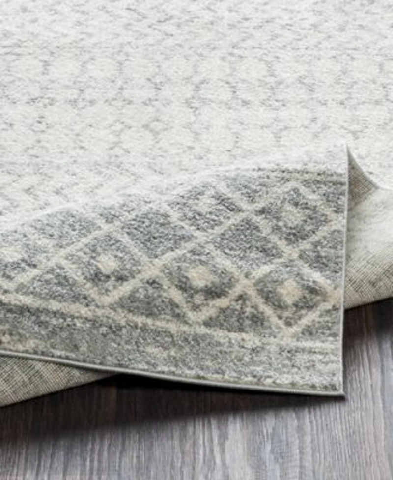 Livabliss Elaziz Elz 2308 Light Gray Area Rug Collection