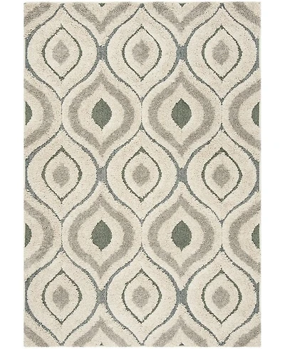 Safavieh Florida Shag SG461 Cream and Light Blue 5'3" x 7'6" Area Rug