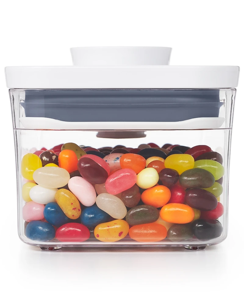 Oxo Pop Mini Rectangular Food Storage Container