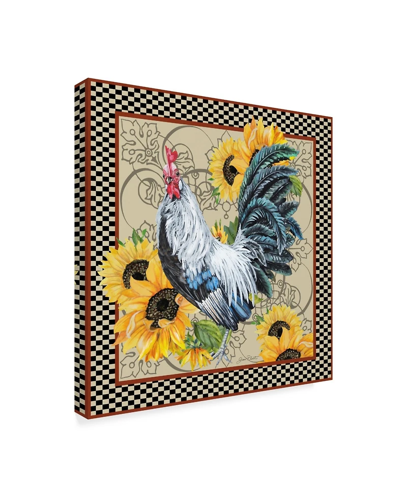 Jean Plout 'Rooster Feathers' Canvas Art - 18" x 18"