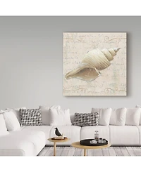 Lisa Audit 'Coastal Beauty Iii' Canvas Art - 18" x 18"