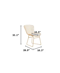 Holly Wire Side Chair, Set of 2