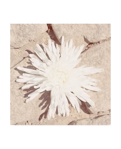 Jason Johnson Floral Canvas Art - 19.5" x 26"