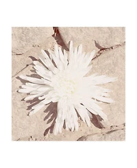 Jason Johnson Floral Canvas Art - 19.5" x 26"