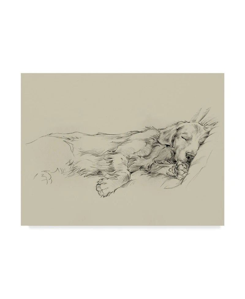 Ethan Harper Dog Days Iii Canvas Art - 37" x 49"
