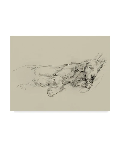 Ethan Harper Dog Days Iii Canvas Art - 37" x 49"