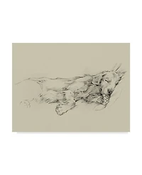 Ethan Harper Dog Days Iii Canvas Art - 37" x 49"