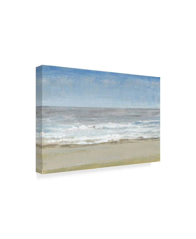 Tim Otoole Beach Walking Day I Canvas Art