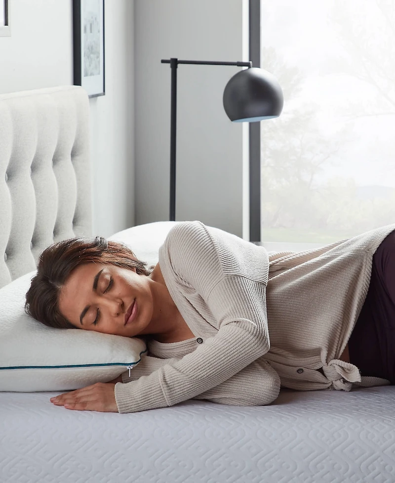 Lucid Dream Collection Shredded Memory Foam 2-Pack Pillow, King