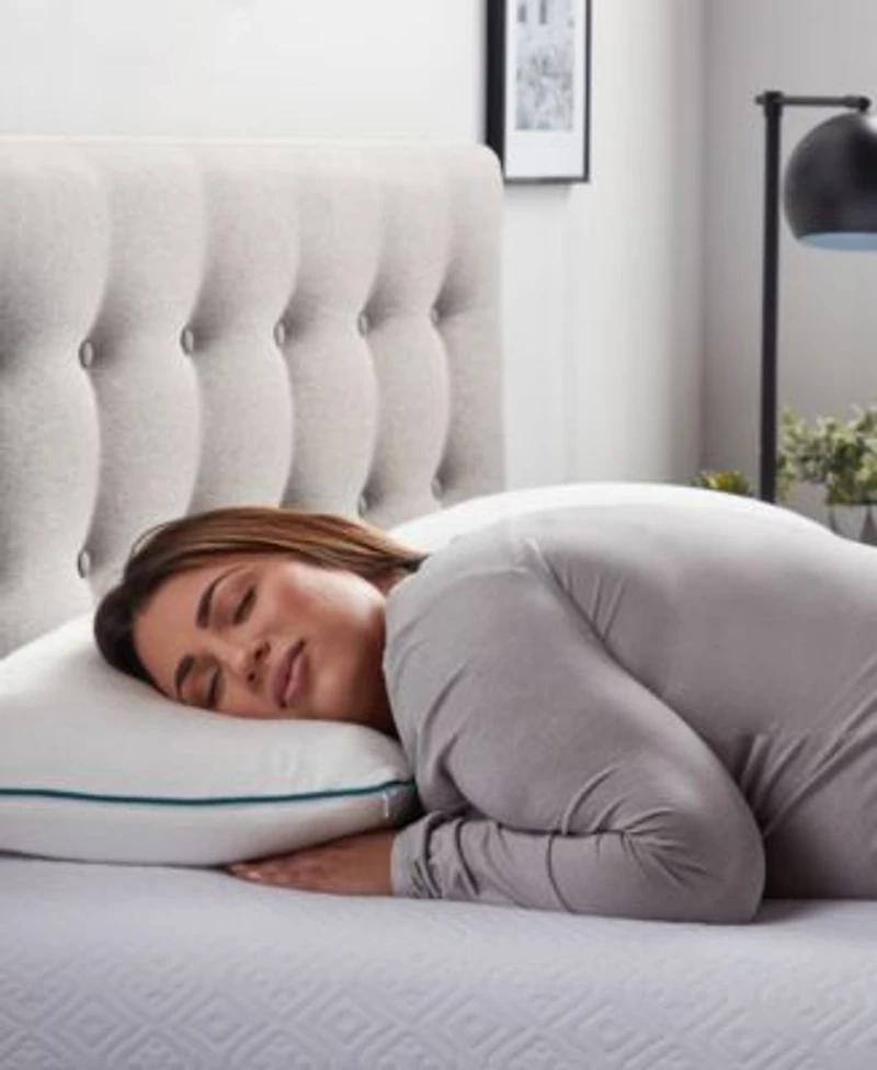 Lucid Dream Collection Shredded Memory Foam 2 Pack Pillows