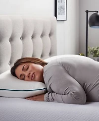 Lucid Dream Collection Shredded Memory Foam 2 Pack Pillows