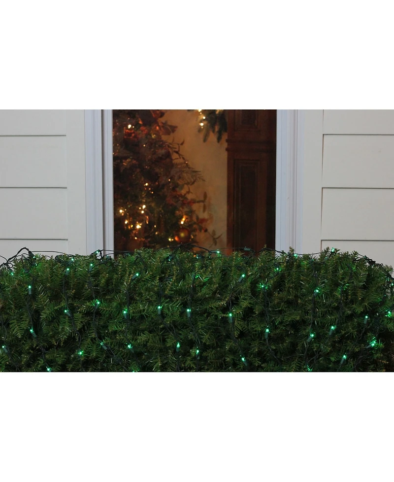 Northlight 4' x 6' Mini Incandescent Christmas Net Lights