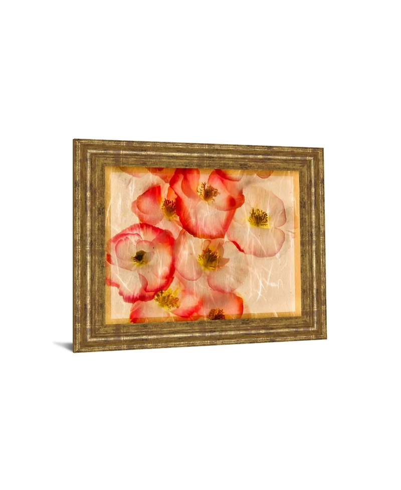 Classy Art Papaver Dreams Iii by Harold Davis Framed Print Wall Art, 22" x 26"