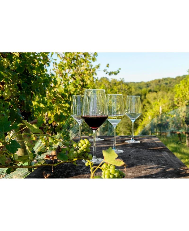 Zwiesel Glas Tritan Pure Cabernet 18.2oz, Set of 2