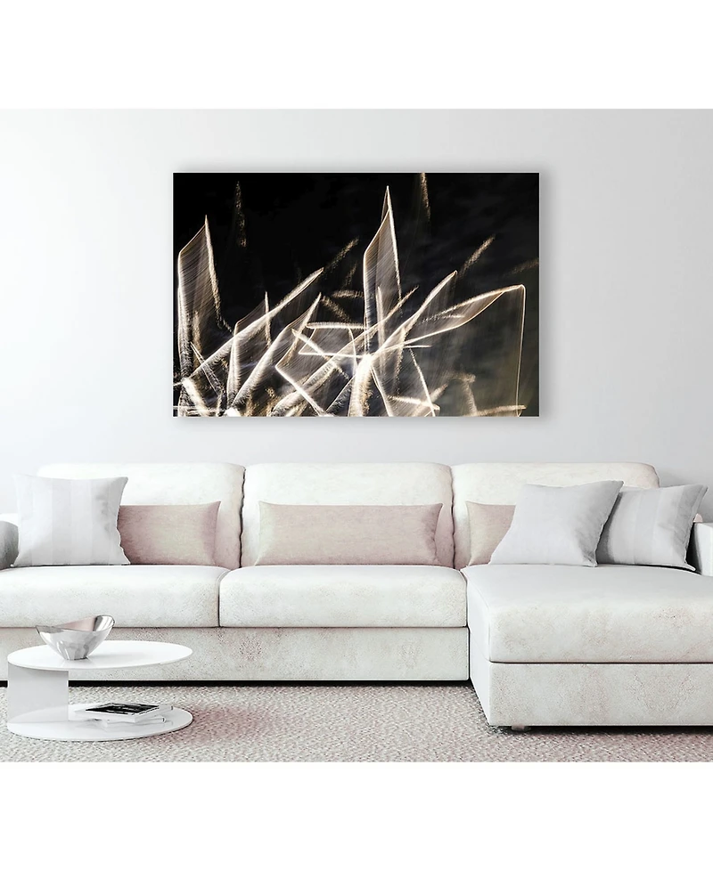 Giant Art 20" x 16" Chiffon Light Sculpture Museum Mounted Canvas Print