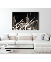 Giant Art 20" x 16" Chiffon Light Sculpture Museum Mounted Canvas Print