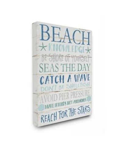 Stupell Industries Beach Knowledge Blue Aqua White Planked Look Sign Collection