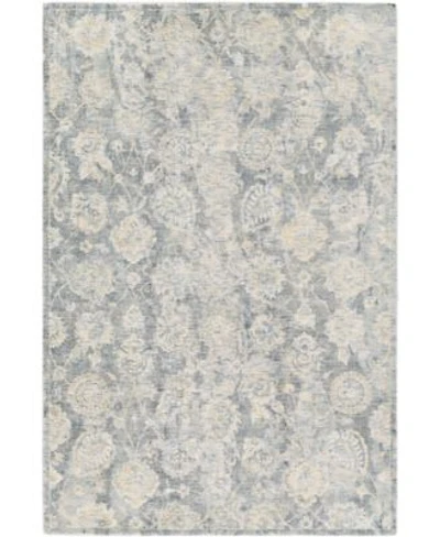 Surya Wilson Wsn 2300 Denim Area Rug