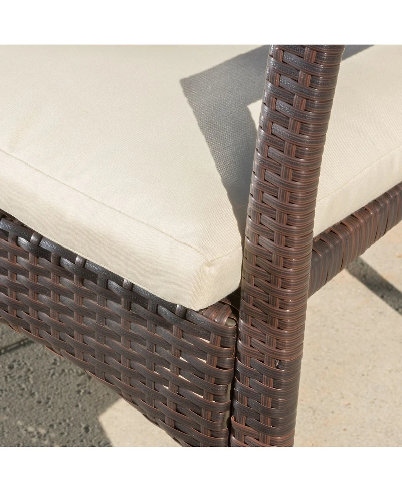 Noble House Wilkerson Outdoor Dining Chair with Cushion, Set of 2