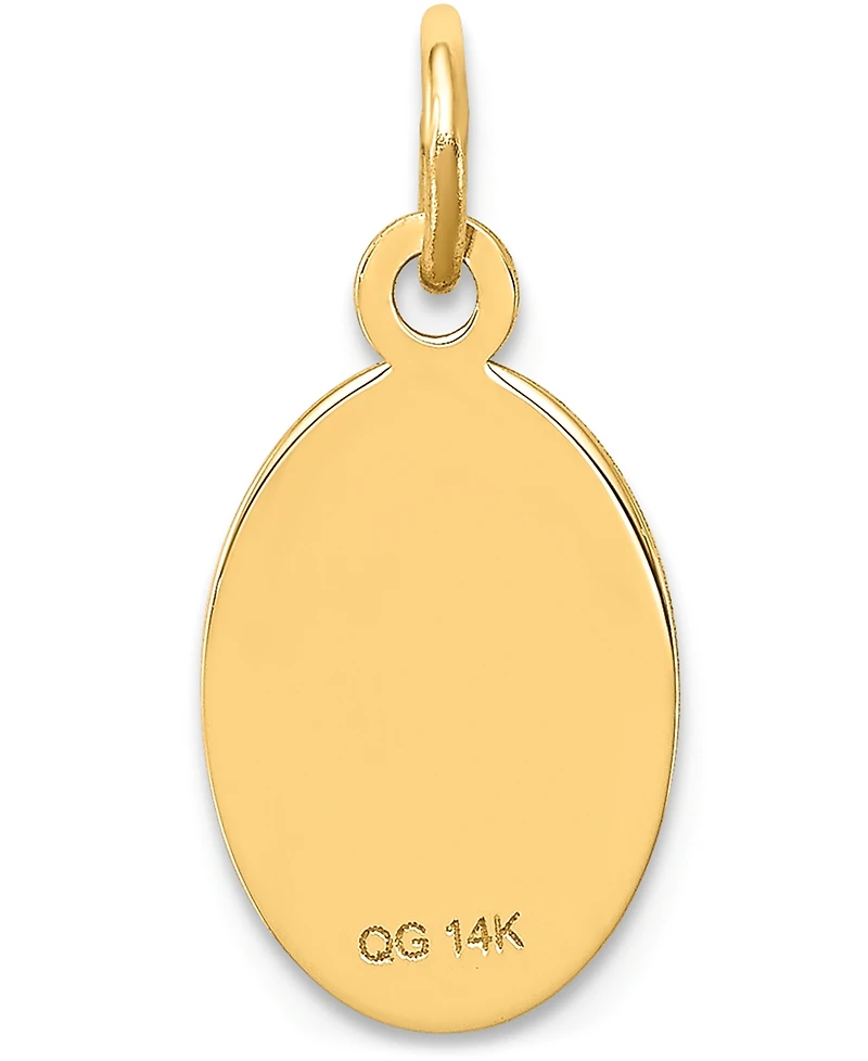 Medical Info Charm Pendant in 14k Gold