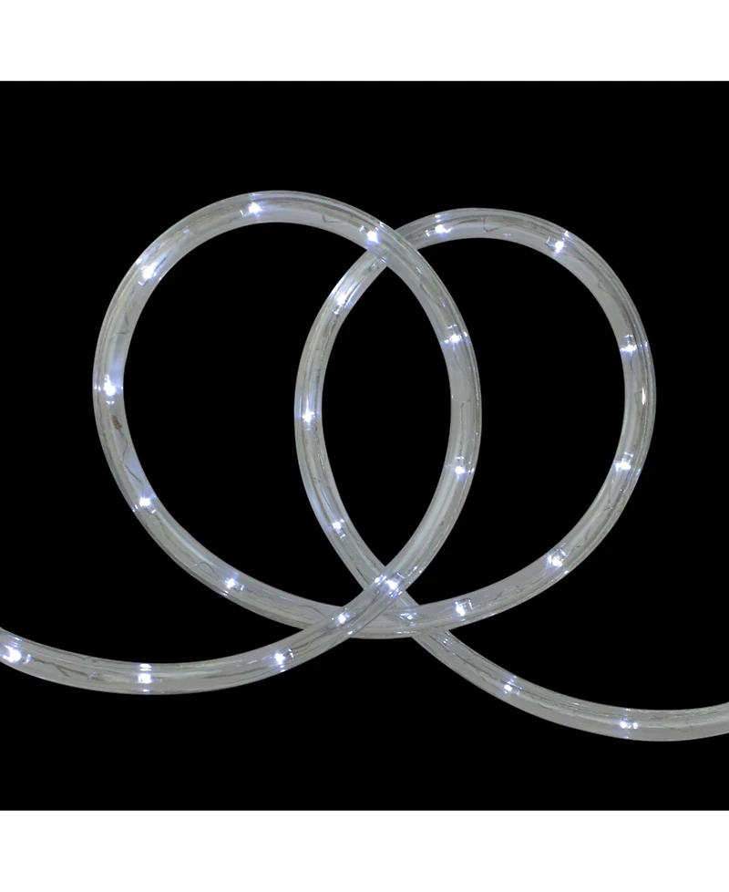 Northlight Led Outdoor Christmas Decor Rope Lights