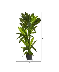 Nearly Natural Dracaena Artificial Plant, Real Touch