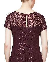 Sl Fashions Sequined Lace Midi Dress