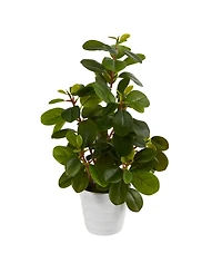 16" Peperomia Artificial Plant in Decorative Planter