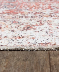 Momeni Chandler Chandchn-5 4' x 6' Area Rug