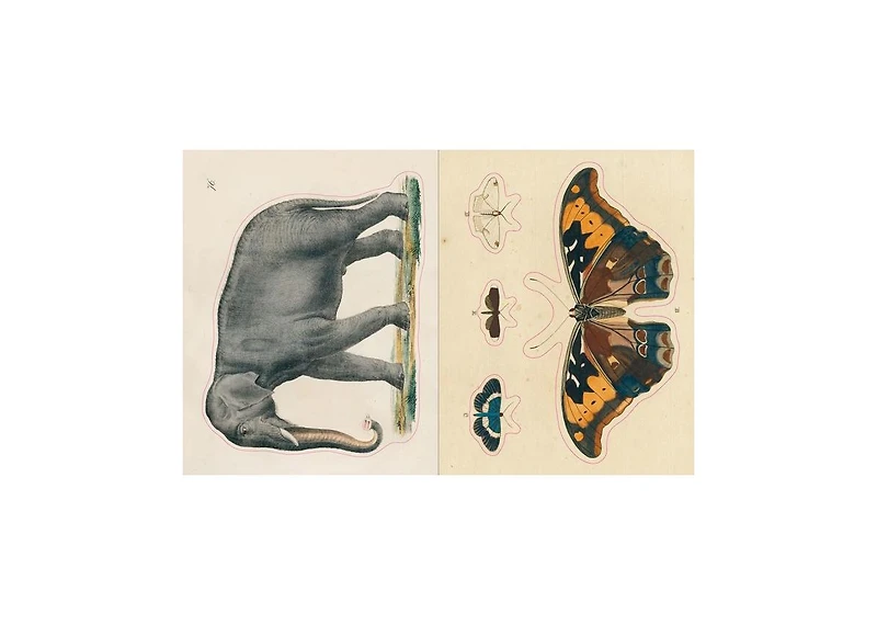 John Derian Sticker Book by John Derian