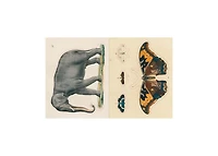 John Derian Sticker Book by John Derian